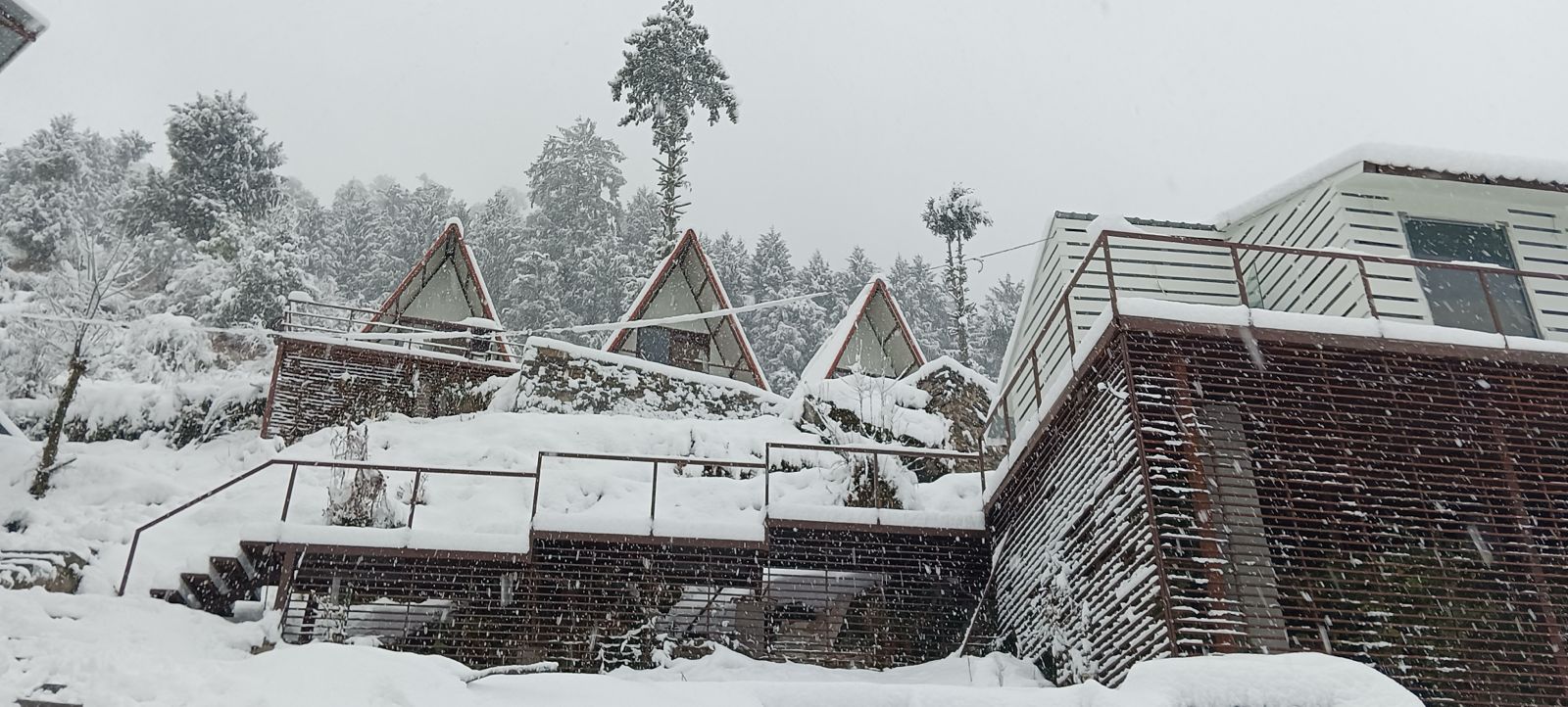 best hotel in auli uttarakhand- blackberry cottages auli