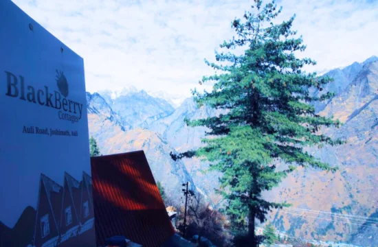 BlackBerry Cottage, Where to Stay in Auli Hotels vs Cottages vs Camps, about blackberry,