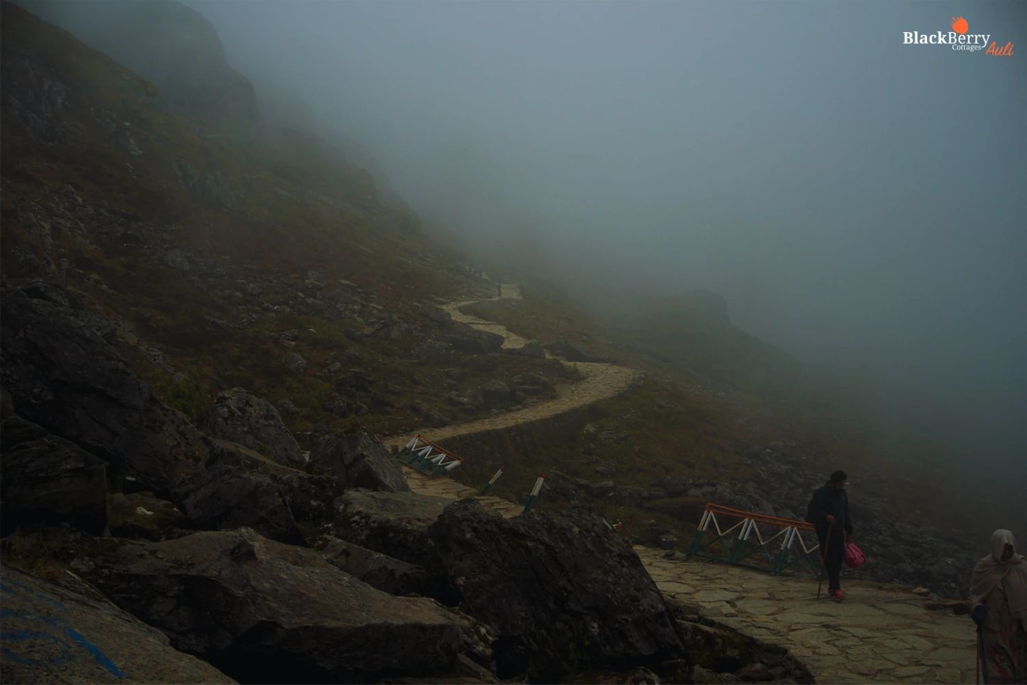Valley of flowers trek, valley of flowers trek guide blackberry cottages auli
