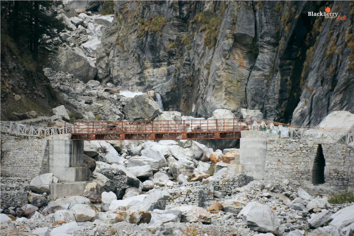 Valley of flowers bridge 