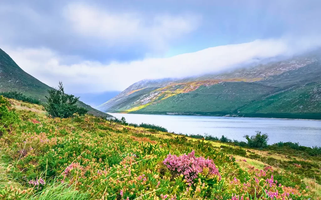 Valley of flower