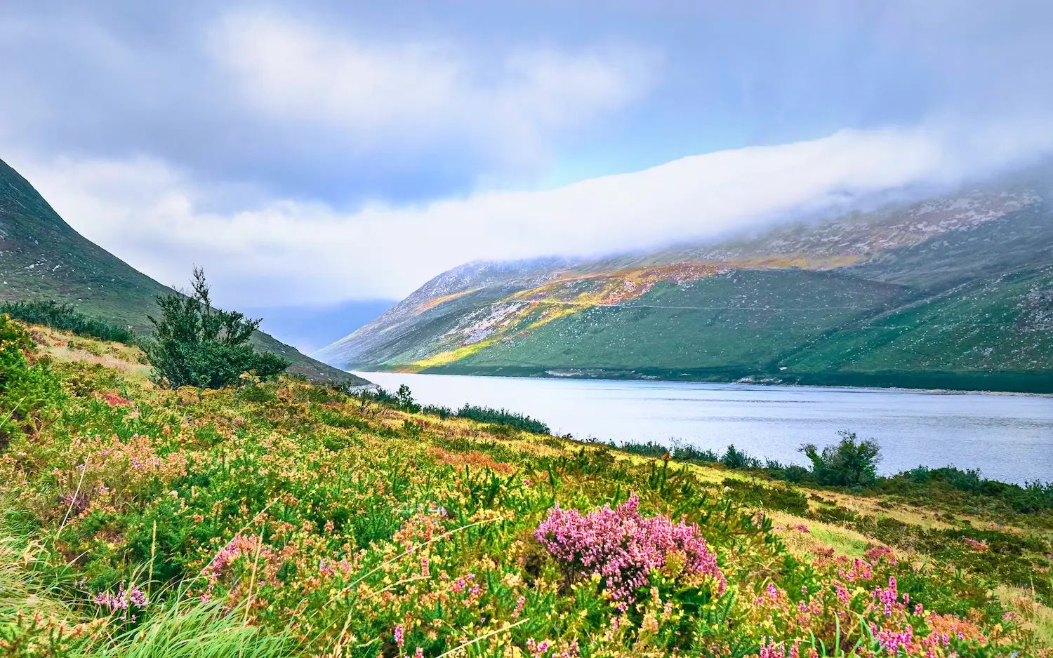 Valley of flower 