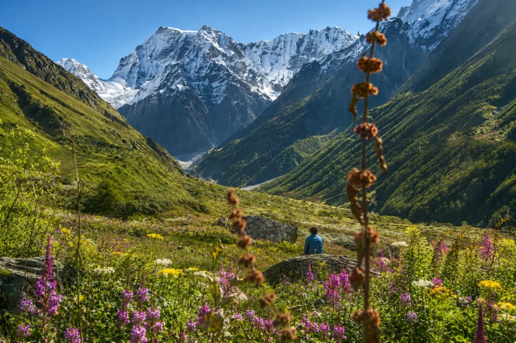 valley of flowers national park, valley of flowers travel guide