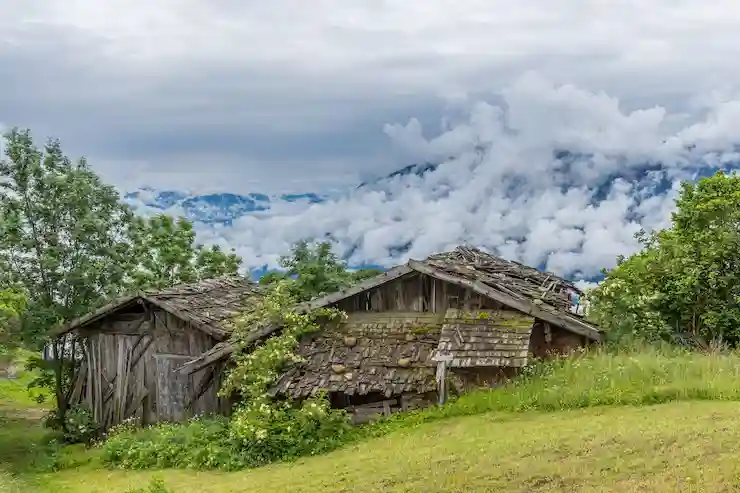 Mana Village