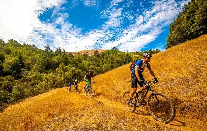 Mountain Biking